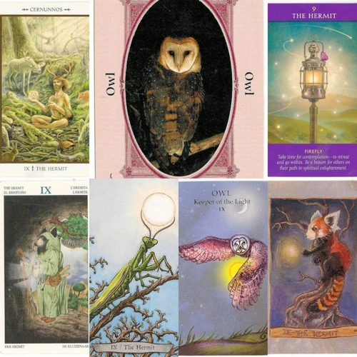 Owl Tarot En Betekenis