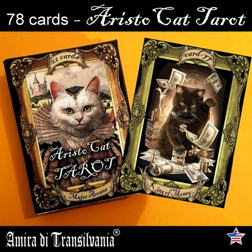 Tarot En De Betekenis Van Een Zwarte Kat