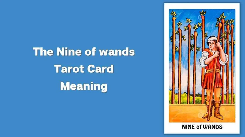 Tarot Staven 9 In Dromen