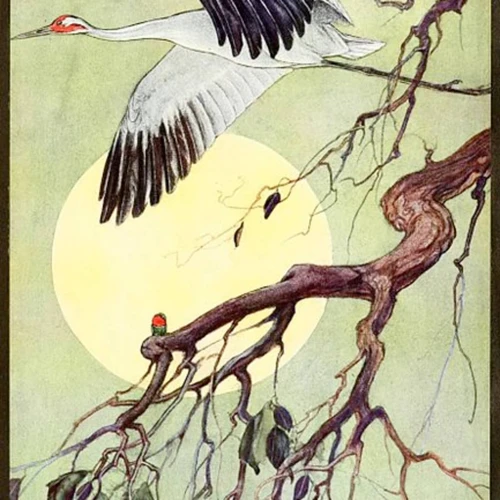 De Betekenis Van De Witte Reiger In Tarot